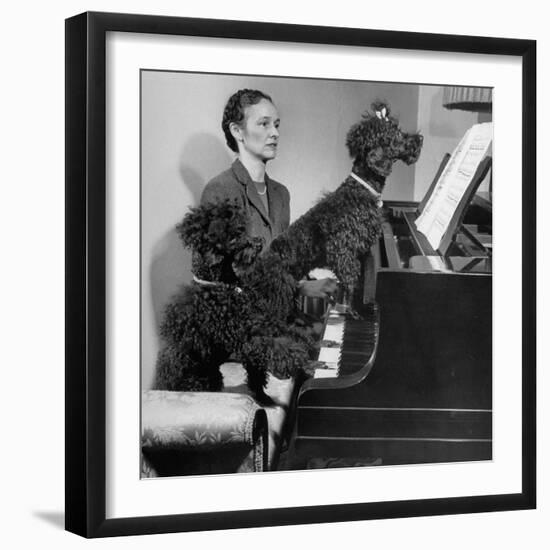 French Poodles Sitting at Piano with Woman-null-Framed Photographic Print