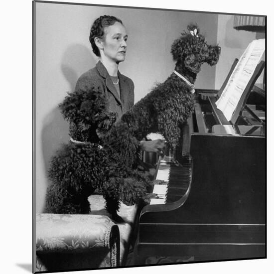 French Poodles Sitting at Piano with Woman-null-Mounted Photographic Print