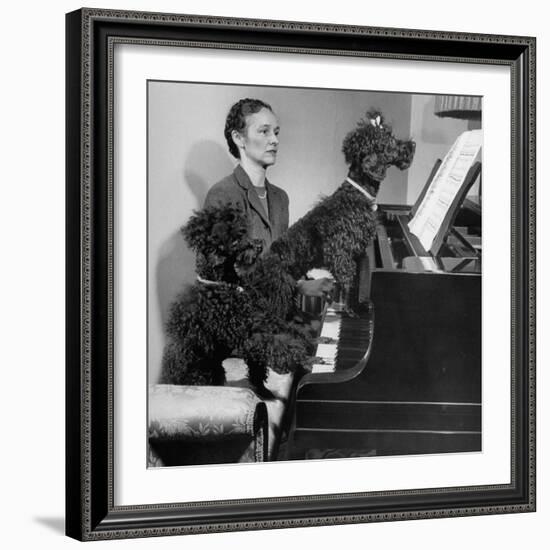 French Poodles Sitting at Piano with Woman-null-Framed Photographic Print