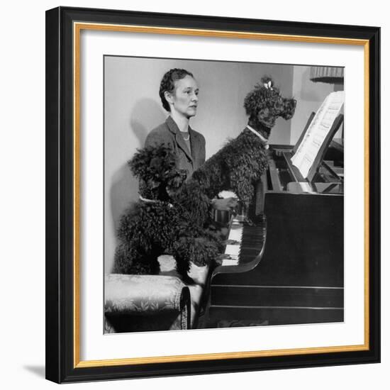 French Poodles Sitting at Piano with Woman-null-Framed Photographic Print