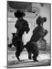 French Poodles Standing on Hind Legs-Mark Kauffman-Mounted Photographic Print