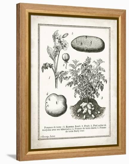 French Potatoes-Gwendolyn Babbitt-Framed Stretched Canvas