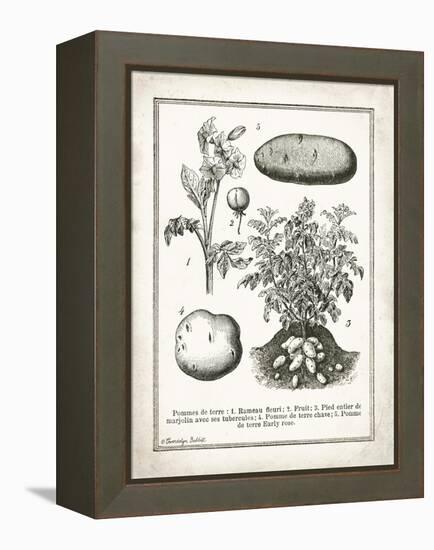 French Potatoes-Gwendolyn Babbitt-Framed Stretched Canvas