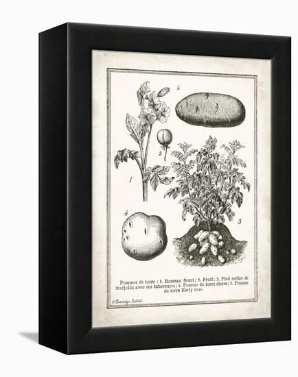 French Potatoes-Gwendolyn Babbitt-Framed Stretched Canvas