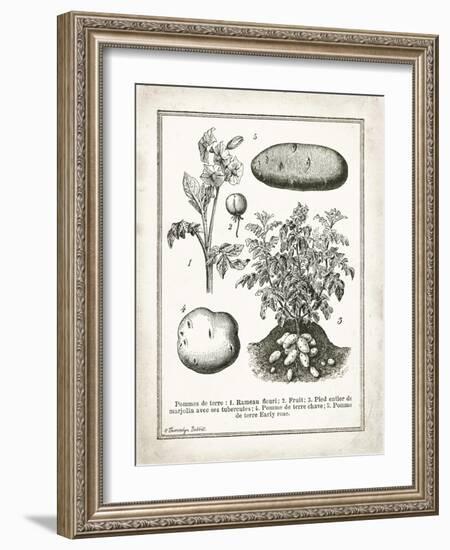 French Potatoes-Gwendolyn Babbitt-Framed Art Print