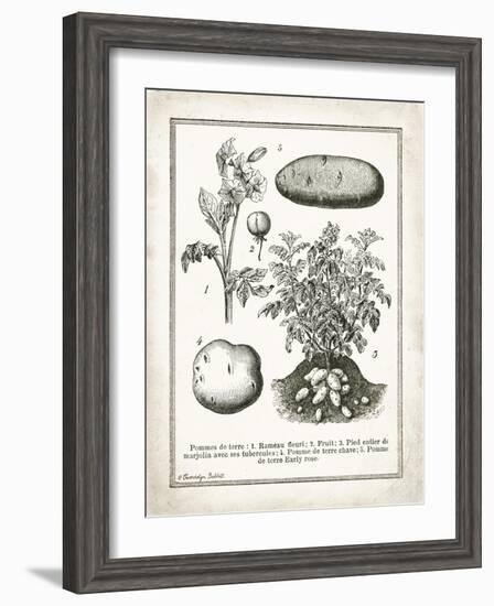 French Potatoes-Gwendolyn Babbitt-Framed Art Print