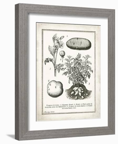 French Potatoes-Gwendolyn Babbitt-Framed Art Print