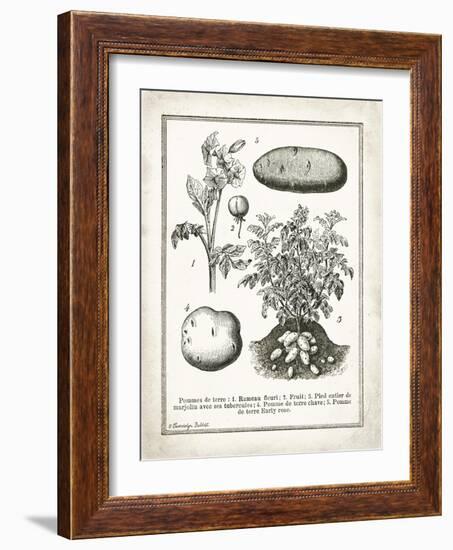 French Potatoes-Gwendolyn Babbitt-Framed Art Print