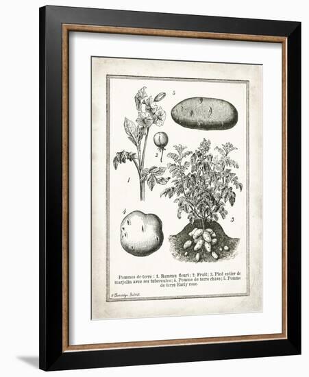 French Potatoes-Gwendolyn Babbitt-Framed Art Print