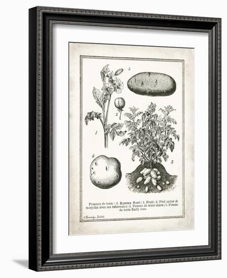 French Potatoes-Gwendolyn Babbitt-Framed Art Print