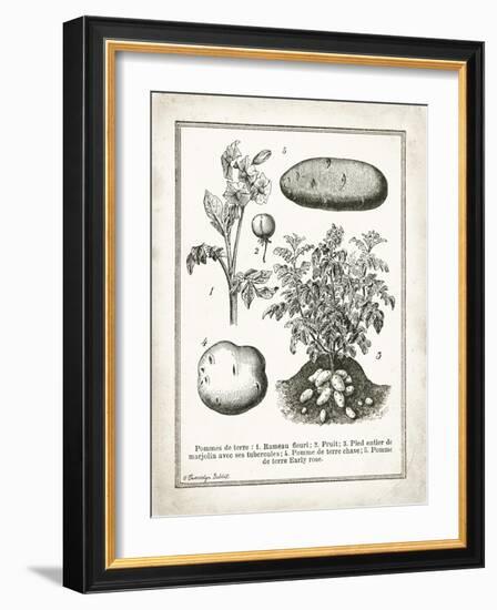 French Potatoes-Gwendolyn Babbitt-Framed Art Print