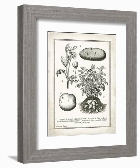 French Potatoes-Gwendolyn Babbitt-Framed Premium Giclee Print