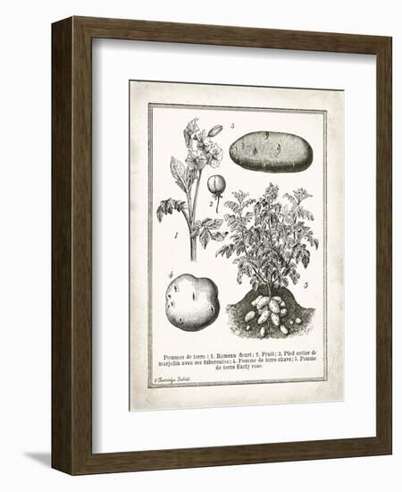 French Potatoes-Gwendolyn Babbitt-Framed Premium Giclee Print