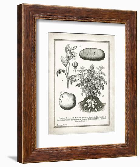 French Potatoes-Gwendolyn Babbitt-Framed Premium Giclee Print