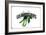 French Produce - Beans-The Saturday Evening Post-Framed Giclee Print