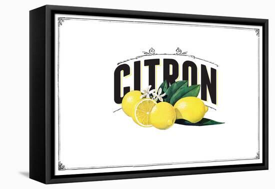 French Produce - Lemon-The Saturday Evening Post-Framed Premier Image Canvas