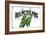 French Produce - Peas-The Saturday Evening Post-Framed Giclee Print