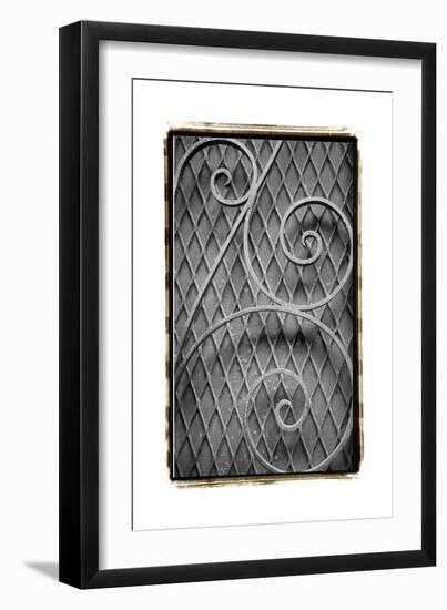 French Quarter Ironwork II-Laura Denardo-Framed Art Print