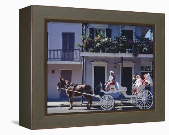 French Quarter Mule Ride in Carriage-Carol Highsmith-Framed Stretched Canvas