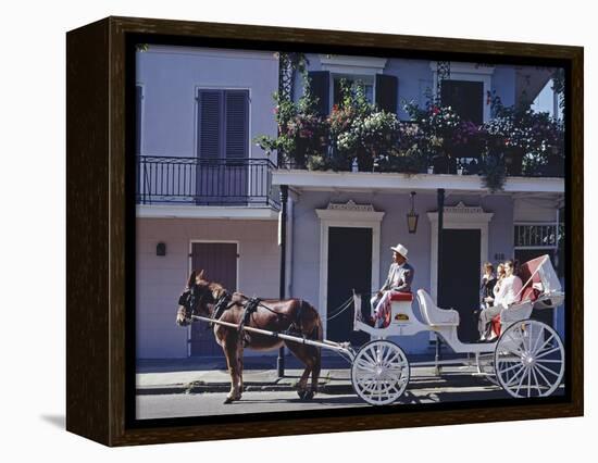 French Quarter Mule Ride in Carriage-Carol Highsmith-Framed Stretched Canvas