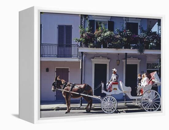 French Quarter Mule Ride in Carriage-Carol Highsmith-Framed Stretched Canvas