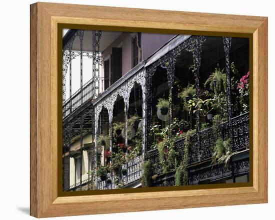 French Quarter, New Orleans, Louisiana, USA-Charles Bowman-Framed Premier Image Canvas