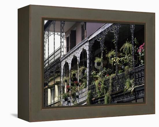 French Quarter, New Orleans, Louisiana, USA-Charles Bowman-Framed Premier Image Canvas