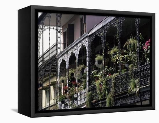 French Quarter, New Orleans, Louisiana, USA-Charles Bowman-Framed Premier Image Canvas