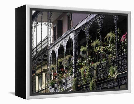 French Quarter, New Orleans, Louisiana, USA-Charles Bowman-Framed Premier Image Canvas