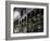 French Quarter, New Orleans, Louisiana, USA-Charles Bowman-Framed Premium Photographic Print