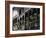 French Quarter, New Orleans, Louisiana, USA-Charles Bowman-Framed Photographic Print