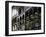 French Quarter, New Orleans, Louisiana, USA-Charles Bowman-Framed Photographic Print