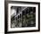 French Quarter, New Orleans, Louisiana, USA-Charles Bowman-Framed Photographic Print