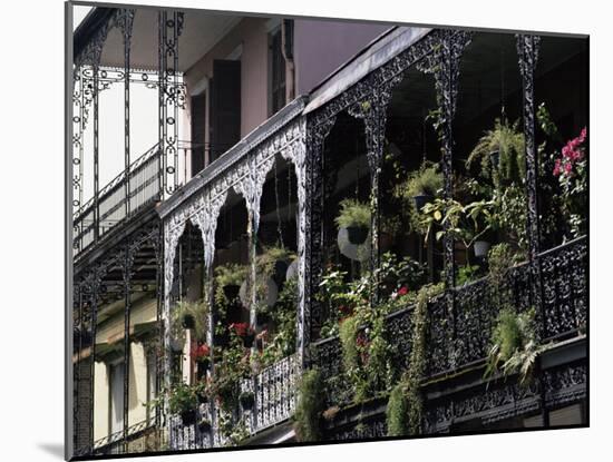 French Quarter, New Orleans, Louisiana, USA-Charles Bowman-Mounted Photographic Print
