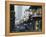 French Quarter, New Orleans, Louisiana, USA-Tony Waltham-Framed Premier Image Canvas