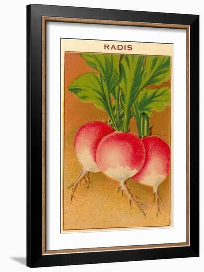 French Radish Seed Packet-null-Framed Art Print