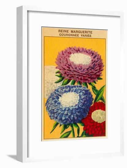 French Reine Marguerite Coronets Seed Packet-null-Framed Art Print