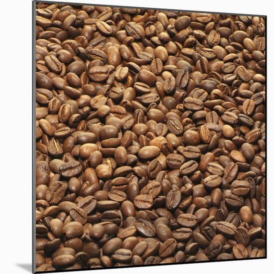 French Roast Whole Coffee Beans-Alexander Feig-Mounted Photographic Print