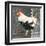 French Rooster II-Gwendolyn Babbitt-Framed Art Print