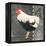 French Rooster II-Gwendolyn Babbitt-Framed Stretched Canvas