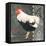 French Rooster II-Gwendolyn Babbitt-Framed Stretched Canvas