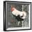 French Rooster II-Gwendolyn Babbitt-Framed Art Print