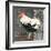 French Rooster II-Gwendolyn Babbitt-Framed Art Print