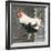 French Rooster II-Gwendolyn Babbitt-Framed Art Print