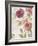 French Roses III-Danhui Nai-Framed Art Print