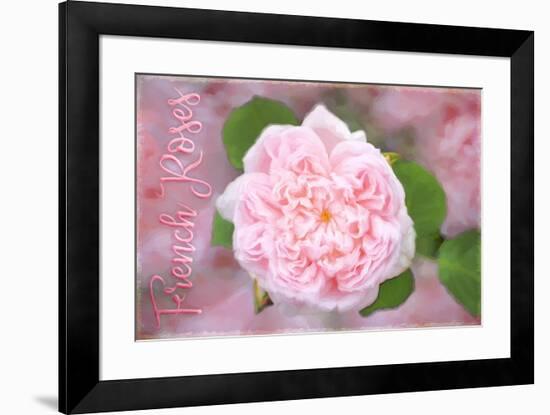 French Roses-Cora Niele-Framed Giclee Print