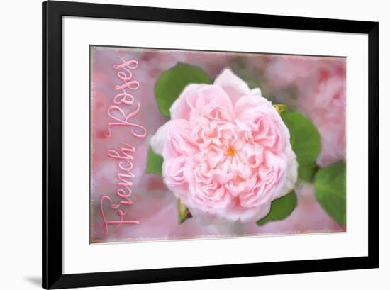 French Roses-Cora Niele-Framed Giclee Print