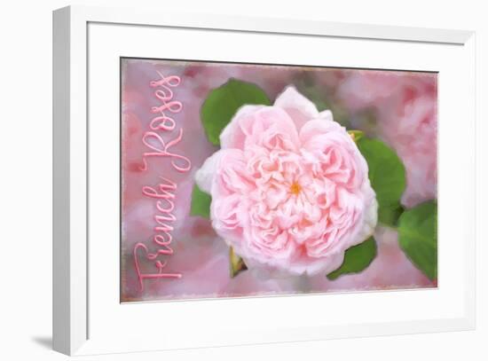 French Roses-Cora Niele-Framed Giclee Print