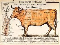 Beef: Diagram Depicting the Different Cuts of Meat (Colour Litho)-French School-Giclee Print