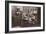 French Schoolkids-null-Framed Photographic Print